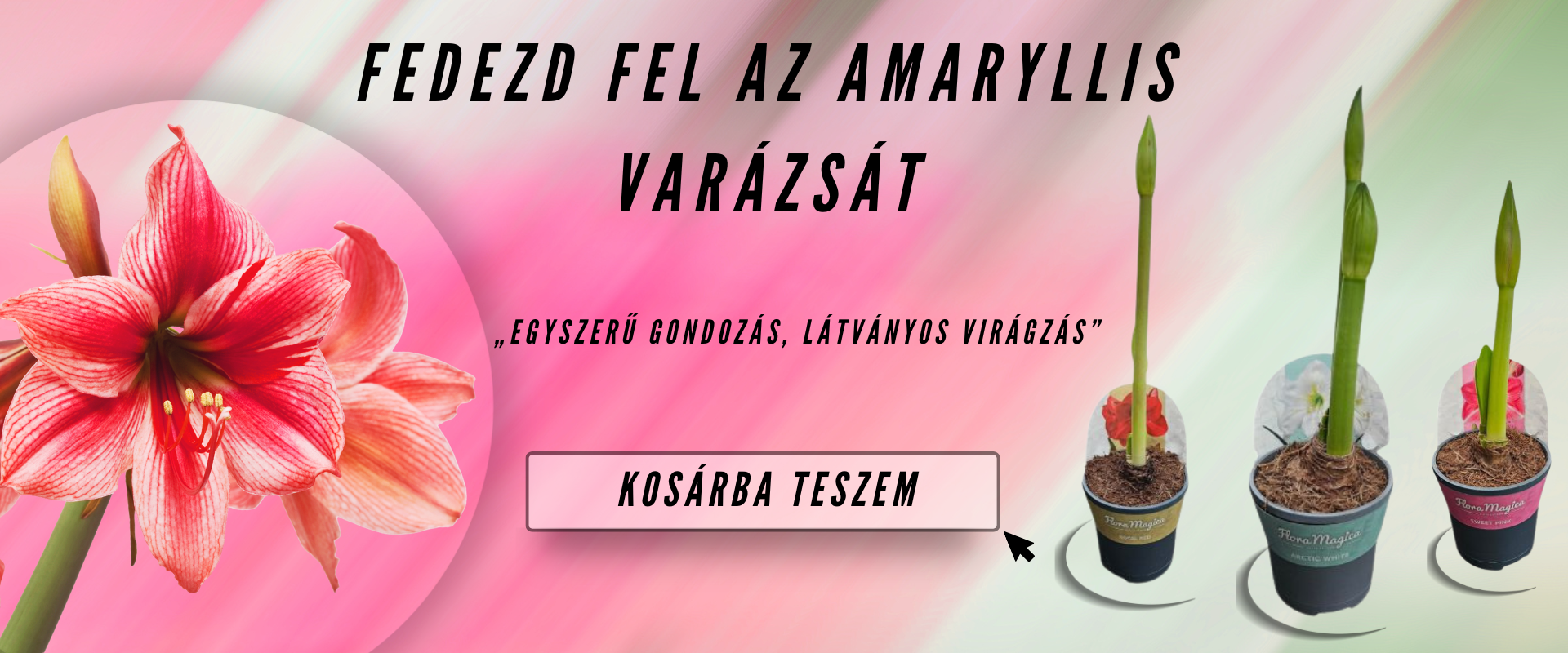 Tápió Kert Webáruház