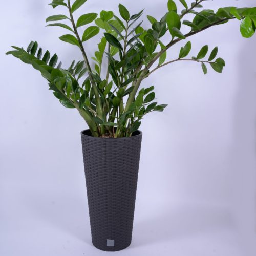 Rato Tubus Virágcserép (25 cm)