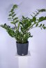 Furu Round Eco virágcserép (25 cm)