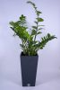 Furu Square virágcserép (29.5 cm)