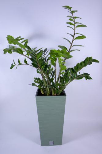 Furu Square virágcserép (29.5 cm)