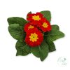 Primula – kankalin