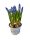 Fürtös Gyöngyike (Muscari)