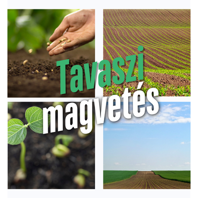 Tavaszi magvetés: Mikor és hogyan kezdjük el? 